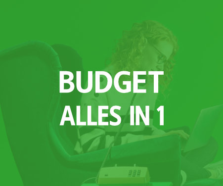 allesin1-budget