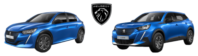 Peugeot beste private elektrische auto