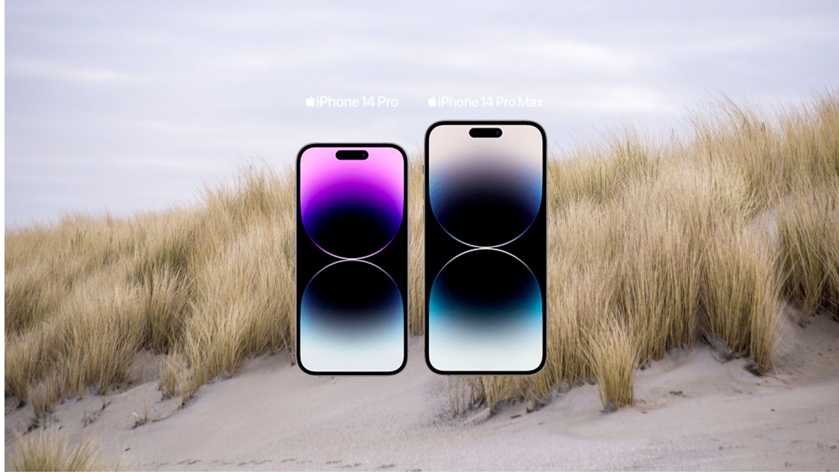iPhone 14 Pro en Pro Max voor duinen